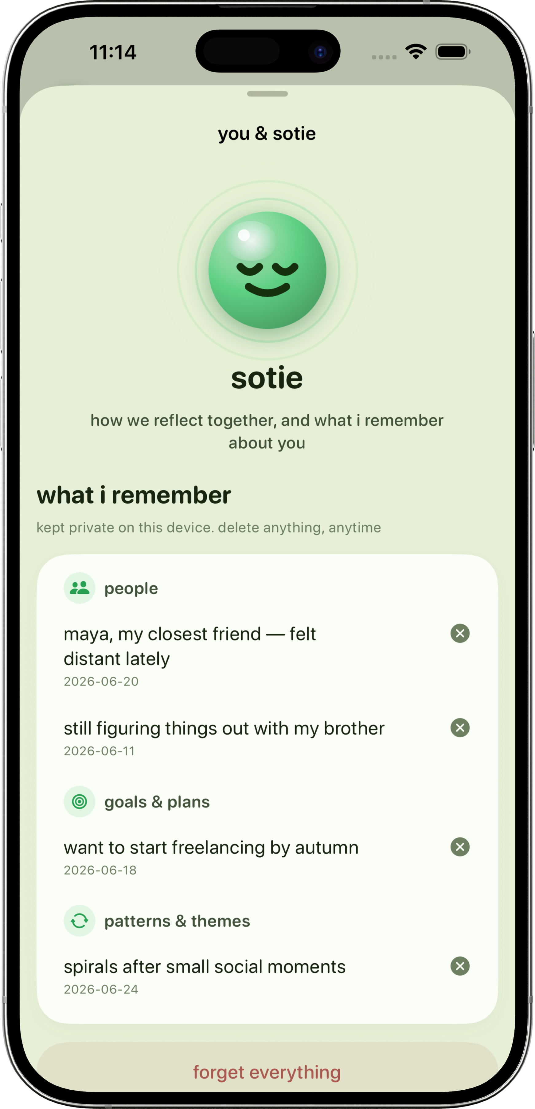 The Sotie memory screen — what it remembers, kept private on your device.